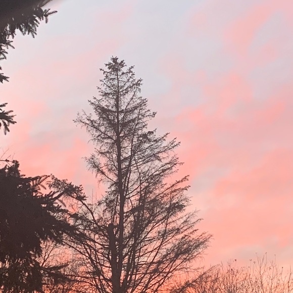 Meet your Posher, Til - Picture 1 of 1